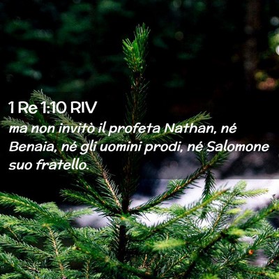 Picture 02 - 1 Re 1:10 RIV - ma non invitò il profeta Nathan, né Benaia, né - Bible Verse Picture