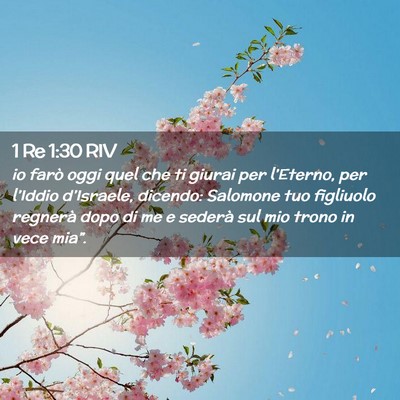 Picture 02 - 1 Re 1:30 RIV - io farò oggi quel che ti giurai per l’Eterno, - Bible Verse Picture