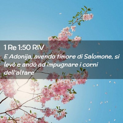 Picture 02 - 1 Re 1:50 RIV - E Adonija, avendo timore di Salomone, si levò e - Bible Verse Picture