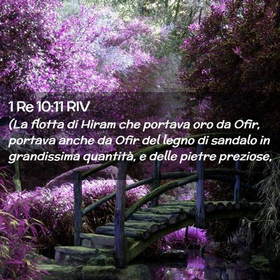 Picture 02 - 1 Re 10:11 RIV - (La flotta di Hiram che portava oro da Ofir, - Bible Verse Picture