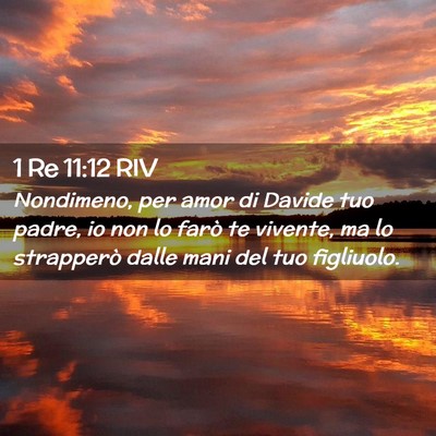 Picture 02 - 1 Re 11:12 RIV - Nondimeno, per amor di Davide tuo padre, io non - Bible Verse Picture