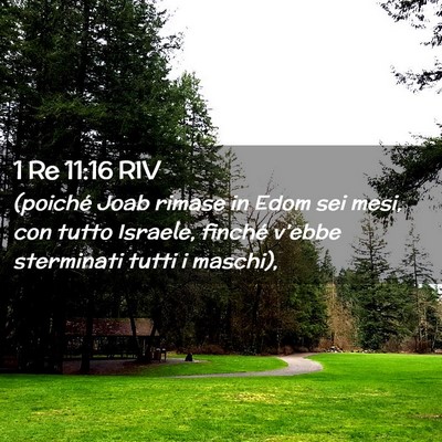 Picture 02 - 1 Re 11:16 RIV - (poiché Joab rimase in Edom sei mesi, con tutto - Bible Verse Picture