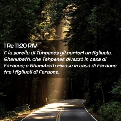Picture 02 - 1 Re 11:20 RIV - E la sorella di Tahpenes gli partorì un - Bible Verse Picture