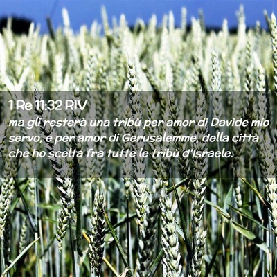 Picture 02 - 1 Re 11:32 RIV - ma gli resterà una tribù per amor di Davide mio - Bible Verse Picture