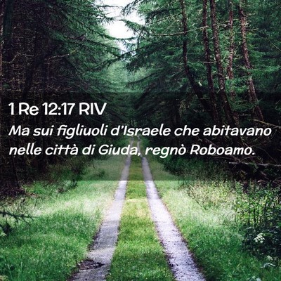 Picture 02 - 1 Re 12:17 RIV - Ma sui figliuoli d’Israele che abitavano nelle - Bible Verse Picture