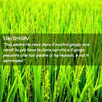 Picture 02 - 1 Re 12:4 RIV - “Tuo padre ha reso duro il nostro giogo; ora - Bible Verse Picture