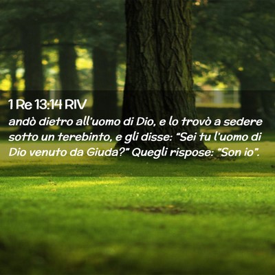 Picture 02 - 1 Re 13:14 RIV - andò dietro all’uomo di Dio, e lo trovò a - Bible Verse Picture