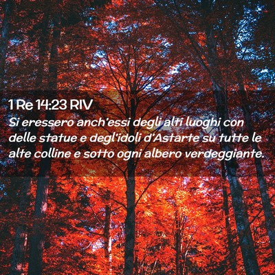 Picture 02 - 1 Re 14:23 RIV - Si eressero anch’essi degli alti luoghi con - Bible Verse Picture