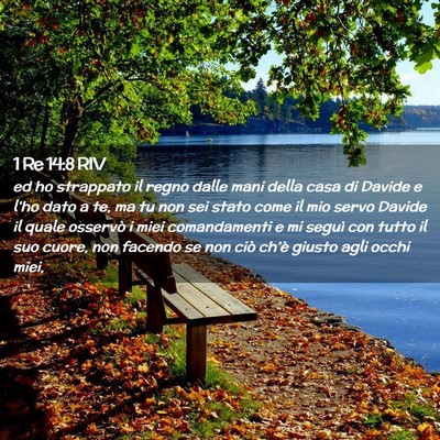 Picture 02 - 1 Re 14:8 RIV - ed ho strappato il regno dalle mani della casa di - Bible Verse Picture