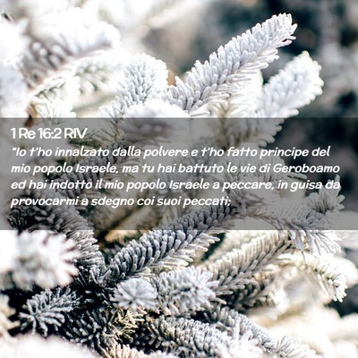 Picture 02 - 1 Re 16:2 RIV - “Io t’ho innalzato dalla polvere e t’ho - Bible Verse Picture