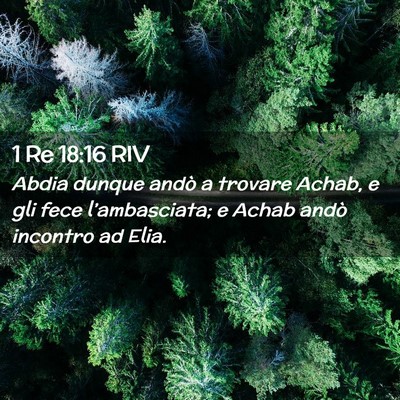 Picture 02 - 1 Re 18:16 RIV - Abdia dunque andò a trovare Achab, e gli fece - Bible Verse Picture