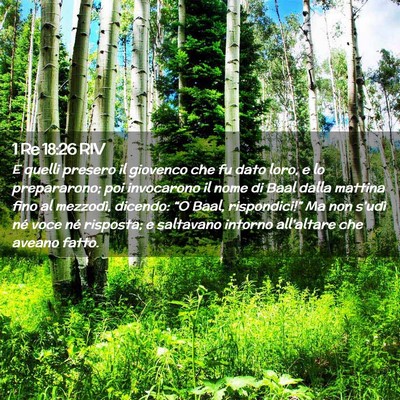 Picture 02 - 1 Re 18:26 RIV - E quelli presero il giovenco che fu dato loro, e - Bible Verse Picture