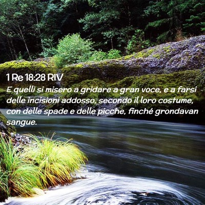 Picture 02 - 1 Re 18:28 RIV - E quelli si misero a gridare a gran voce, e a - Bible Verse Picture