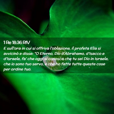 Picture 02 - 1 Re 18:36 RIV - E sull’ora in cui si offriva l’oblazione, il - Bible Verse Picture