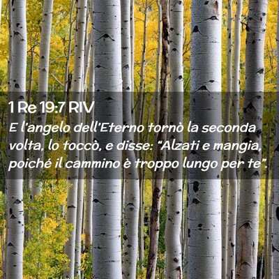 Picture 02 - 1 Re 19:7 RIV - E l’angelo dell’Eterno tornò la seconda - Bible Verse Picture