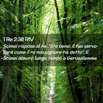 Picture 02 - 1 Re 2:38 RIV - Scimei rispose al re: “Sta bene; il tuo servo - Bible Verse Picture
