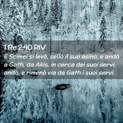 Picture 02 - 1 Re 2:40 RIV - E Scimei si levò, sellò il suo asino, e andò a - Bible Verse Picture