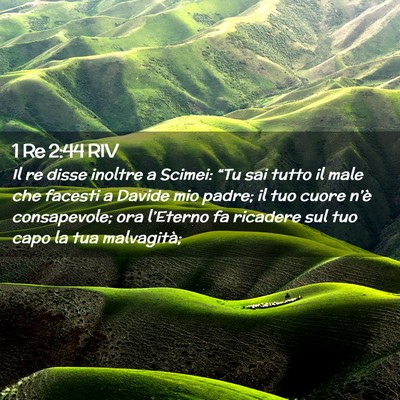 Picture 02 - 1 Re 2:44 RIV - Il re disse inoltre a Scimei: “Tu sai tutto il - Bible Verse Picture