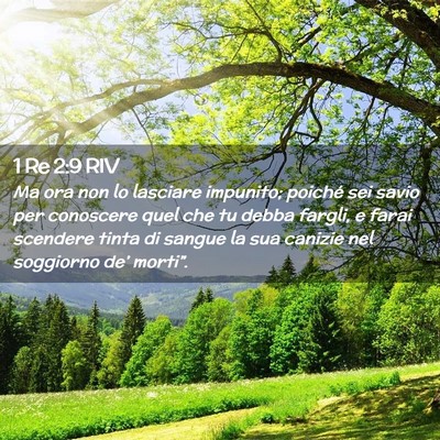 Picture 02 - 1 Re 2:9 RIV - Ma ora non lo lasciare impunito; poiché sei - Bible Verse Picture