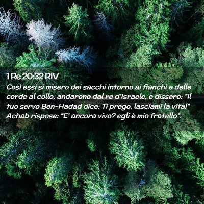 Picture 02 - 1 Re 20:32 RIV - Così essi si misero dei sacchi intorno ai - Bible Verse Picture