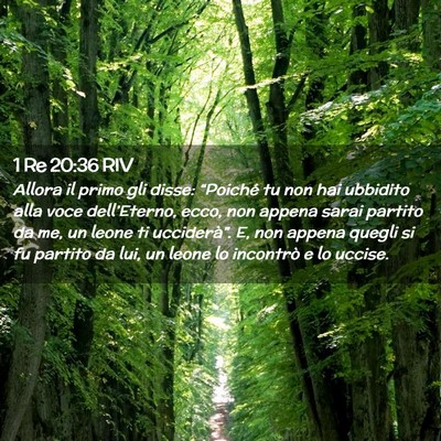 Picture 02 - 1 Re 20:36 RIV - Allora il primo gli disse: “Poiché tu non hai - Bible Verse Picture