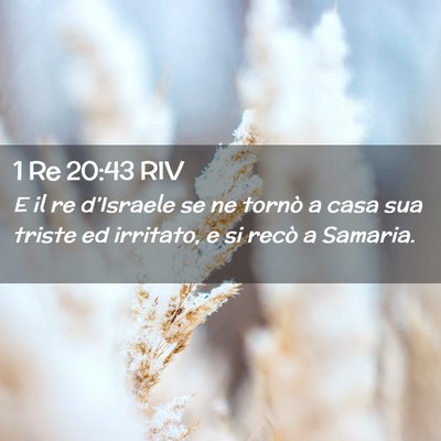 Picture 02 - 1 Re 20:43 RIV - E il re d’Israele se ne tornò a casa sua - Bible Verse Picture