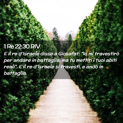 Picture 02 - 1 Re 22:30 RIV - E il re d’Israele disse a Giosafat: “Io mi - Bible Verse Picture
