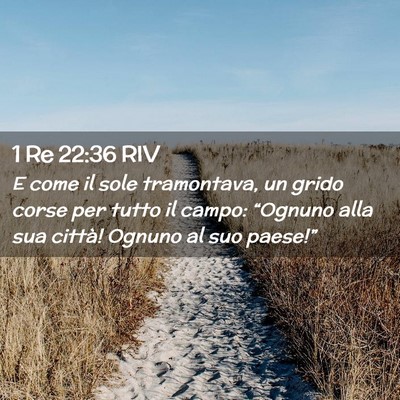 Picture 02 - 1 Re 22:36 RIV - E come il sole tramontava, un grido corse per - Bible Verse Picture