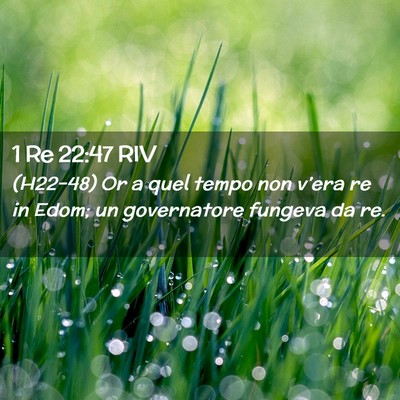 Picture 02 - 1 Re 22:47 RIV - (H22-48) Or a quel tempo non v’era re in Edom; - Bible Verse Picture