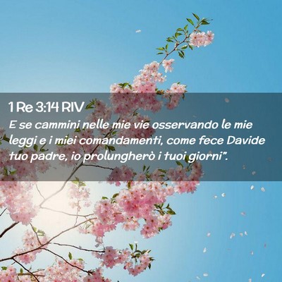 Picture 02 - 1 Re 3:14 RIV - E se cammini nelle mie vie osservando le mie - Bible Verse Picture