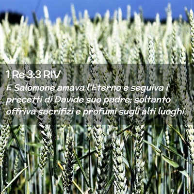 Picture 02 - 1 Re 3:3 RIV - E Salomone amava l’Eterno e seguiva i precetti - Bible Verse Picture