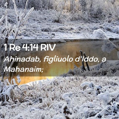 Picture 02 - 1 Re 4:14 RIV - Ahinadab, figliuolo d’Iddo, a - Bible Verse Picture