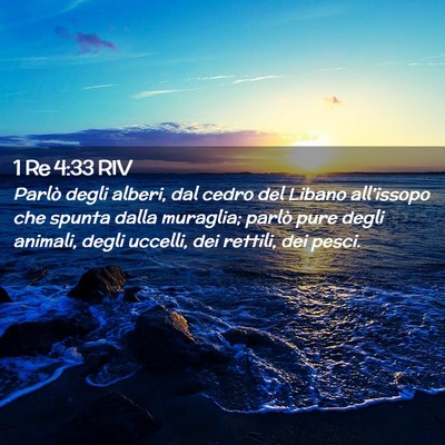 Picture 02 - 1 Re 4:33 RIV - Parlò degli alberi, dal cedro del Libano - Bible Verse Picture