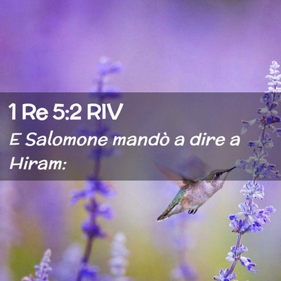 Picture 02 - 1 Re 5:2 RIV - E Salomone mandò a dire a - Bible Verse Picture