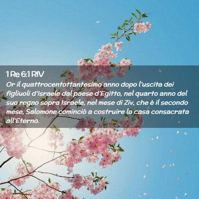Picture 02 - 1 Re 6:1 RIV - Or il quattrocentottantesimo anno dopo l’uscita - Bible Verse Picture