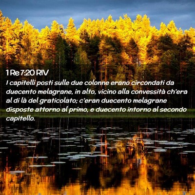Picture 02 - 1 Re 7:20 RIV - I capitelli posti sulle due colonne erano - Bible Verse Picture