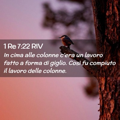 Picture 02 - 1 Re 7:22 RIV - In cima alle colonne c’era un lavoro fatto a - Bible Verse Picture