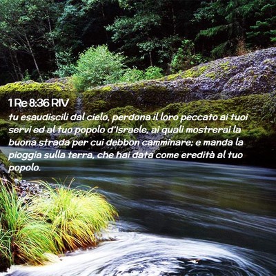 Picture 02 - 1 Re 8:36 RIV - tu esaudiscili dal cielo, perdona il loro peccato - Bible Verse Picture