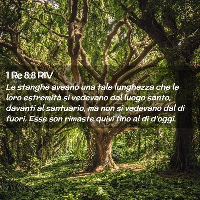 Picture 02 - 1 Re 8:8 RIV - Le stanghe aveano una tale lunghezza che le loro - Bible Verse Picture