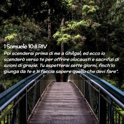 Picture 02 - 1 Samuele 10:8 RIV - Poi scenderai prima di me a Ghilgal; ed ecco io - Bible Verse Picture