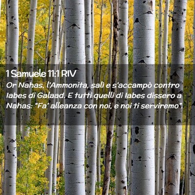 Picture 02 - 1 Samuele 11:1 RIV - Or Nahas, l’Ammonita, salì e s’accampò - Bible Verse Picture