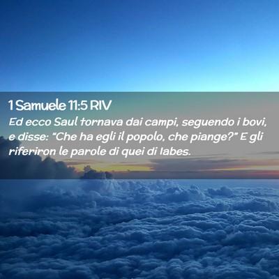 Picture 02 - 1 Samuele 11:5 RIV - Ed ecco Saul tornava dai campi, seguendo i bovi, - Bible Verse Picture
