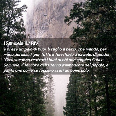 Picture 02 - 1 Samuele 11:7 RIV - e prese un paio di buoi, li tagliò a pezzi, che - Bible Verse Picture