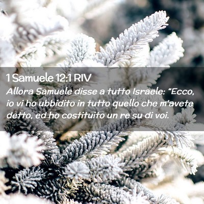 Picture 02 - 1 Samuele 12:1 RIV - Allora Samuele disse a tutto Israele: “Ecco, io - Bible Verse Picture