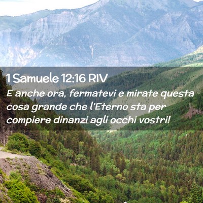 Picture 02 - 1 Samuele 12:16 RIV - E anche ora, fermatevi e mirate questa cosa - Bible Verse Picture