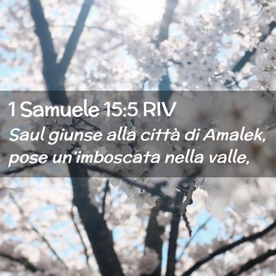 Picture 02 - 1 Samuele 15:5 RIV - Saul giunse alla città di Amalek, pose - Bible Verse Picture