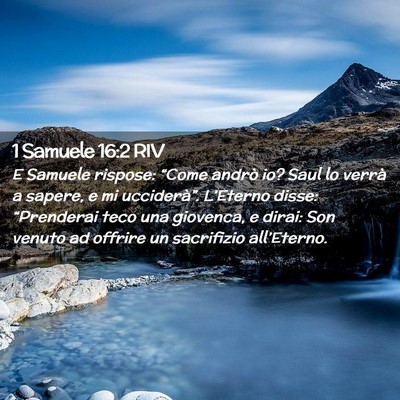 Picture 02 - 1 Samuele 16:2 RIV - E Samuele rispose: “Come andrò io? Saul lo - Bible Verse Picture