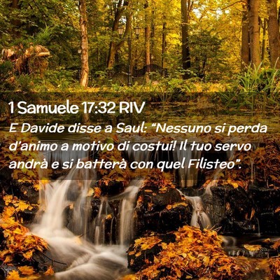 Picture 02 - 1 Samuele 17:32 RIV - E Davide disse a Saul: “Nessuno si perda - Bible Verse Picture