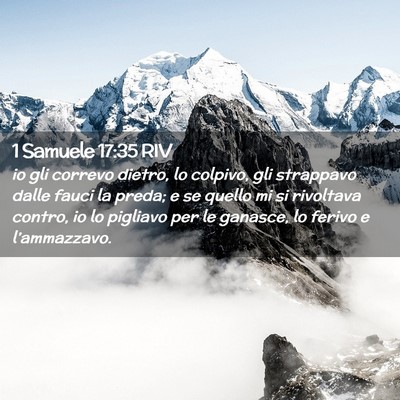 Picture 02 - 1 Samuele 17:35 RIV - io gli correvo dietro, lo colpivo, gli strappavo - Bible Verse Picture