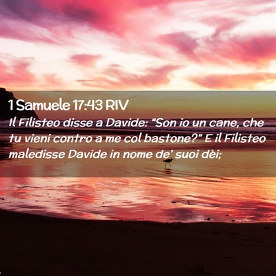 Picture 02 - 1 Samuele 17:43 RIV - Il Filisteo disse a Davide: “Son io un cane, - Bible Verse Picture